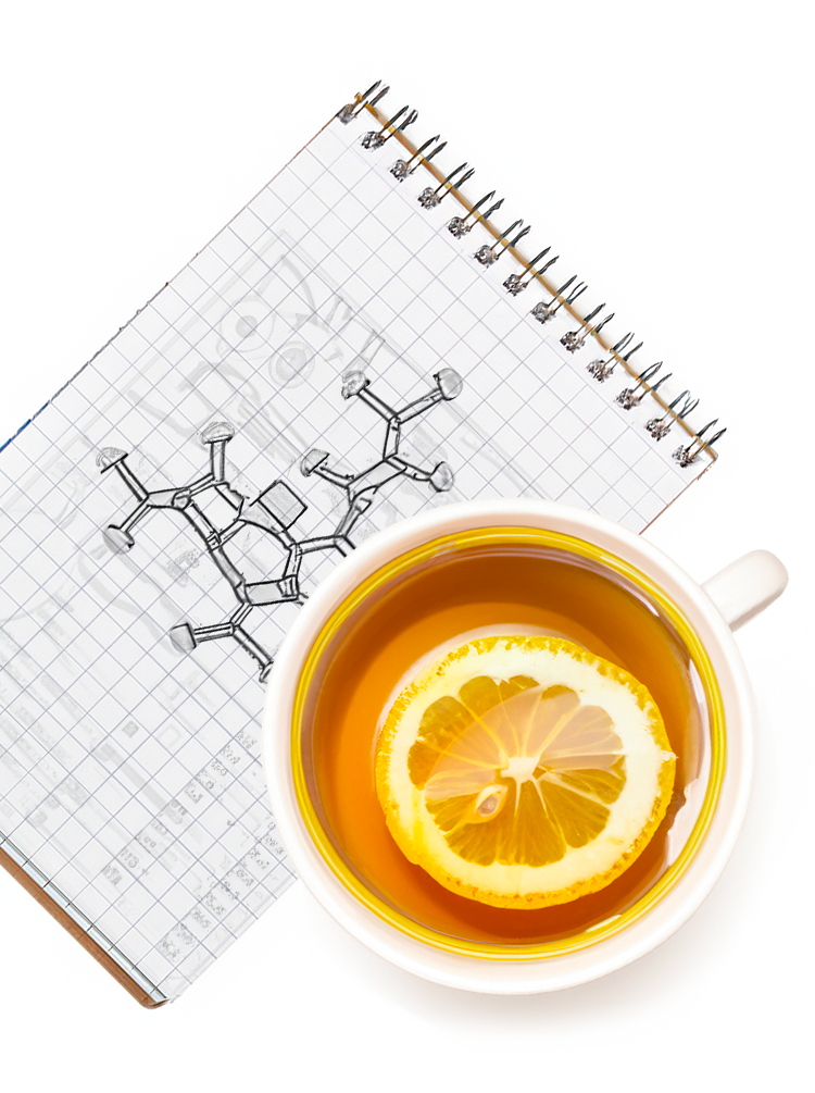 Scientists Discovery